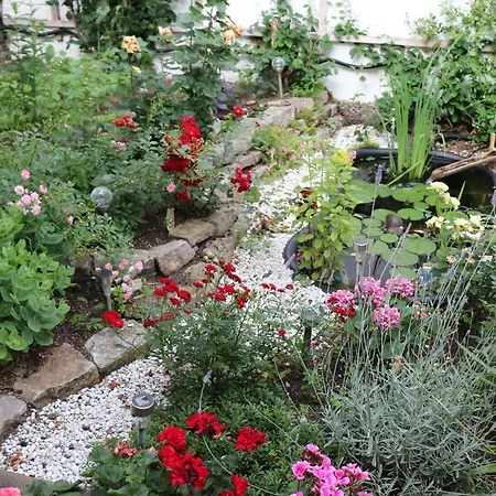 Gaestezimmer Zum Rotem Karpfen בית הארחה